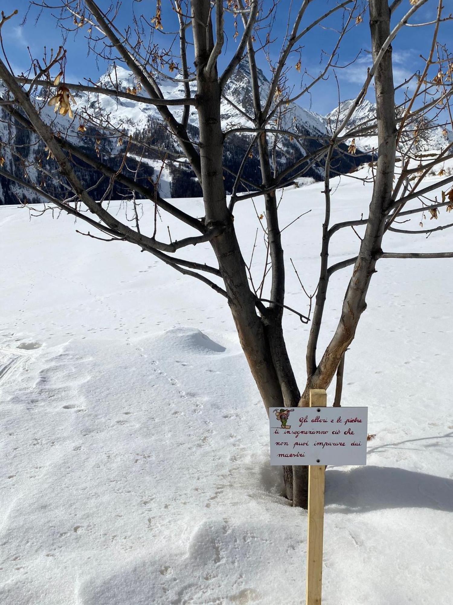 Hotel Belvedere Cogne Zewnętrze zdjęcie