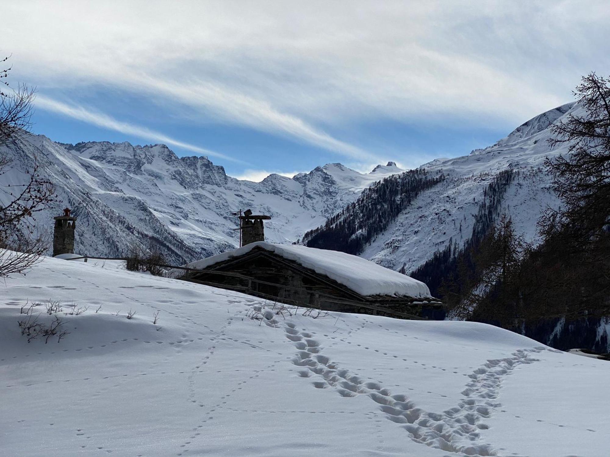 Hotel Belvedere Cogne Zewnętrze zdjęcie